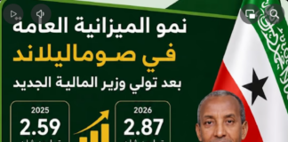 The Minister of Finance and Economic Development of Somaliland, participated in a high-level conference, involving African officials, development partners, and representatives from several African and global countries