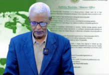 The Ministry of Communications and Technology of Somaliland has announced the launch of an official system for the registration and licensing of all companies operating in the countryโs technology sector